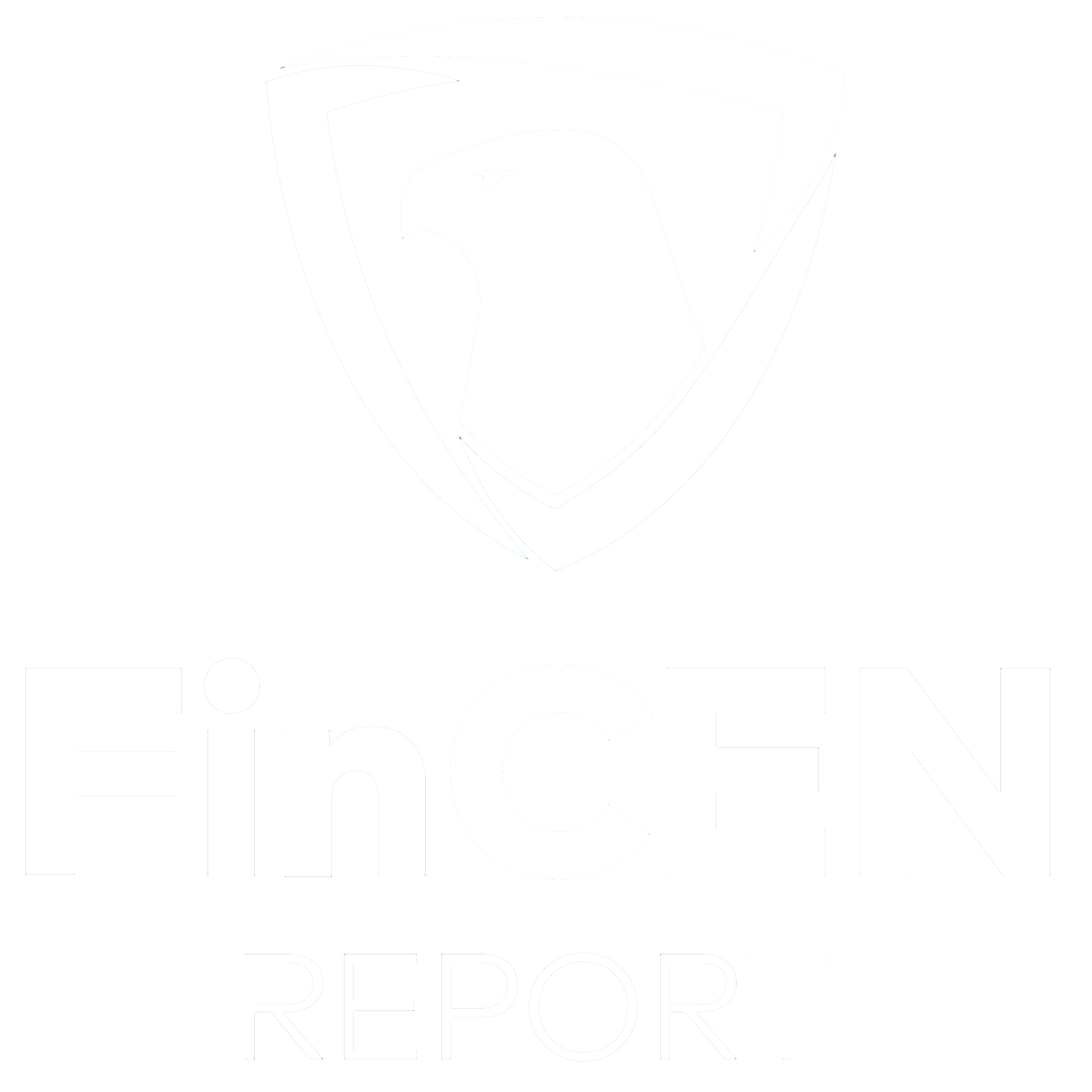 File FinCEN - Does your company need to file?